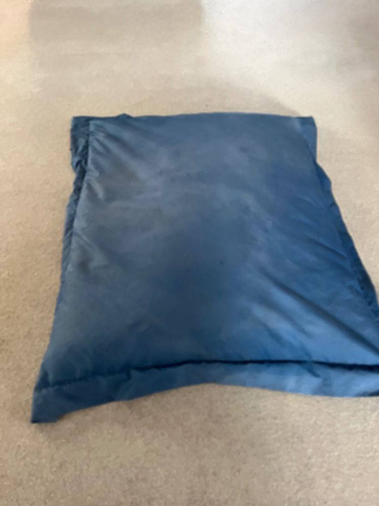 Big Bertha outdoor/garden bean bag