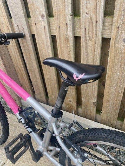 Wild Bike 20