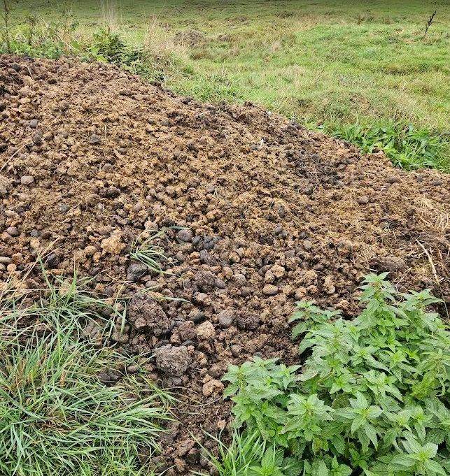 Aged manure for sale! Compost, fertilizer, horse manure. 50 liters bags for sale
