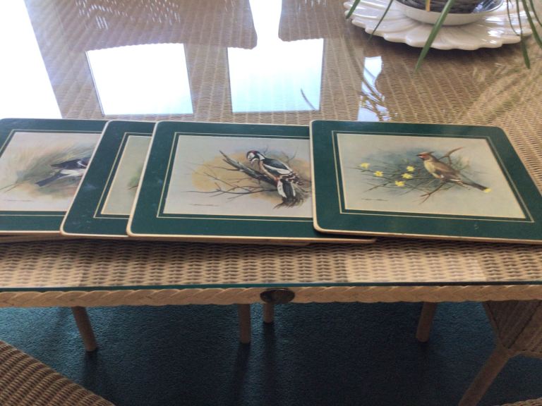 Bird themed table mats 