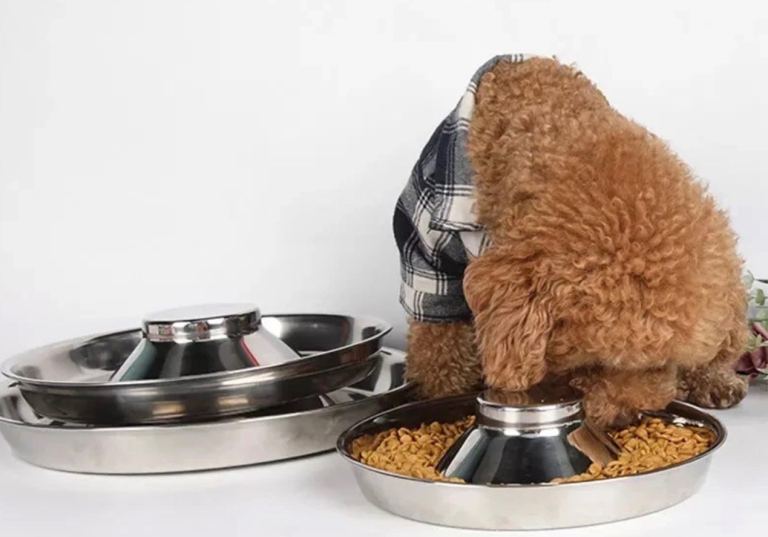 Slow feeding bowl