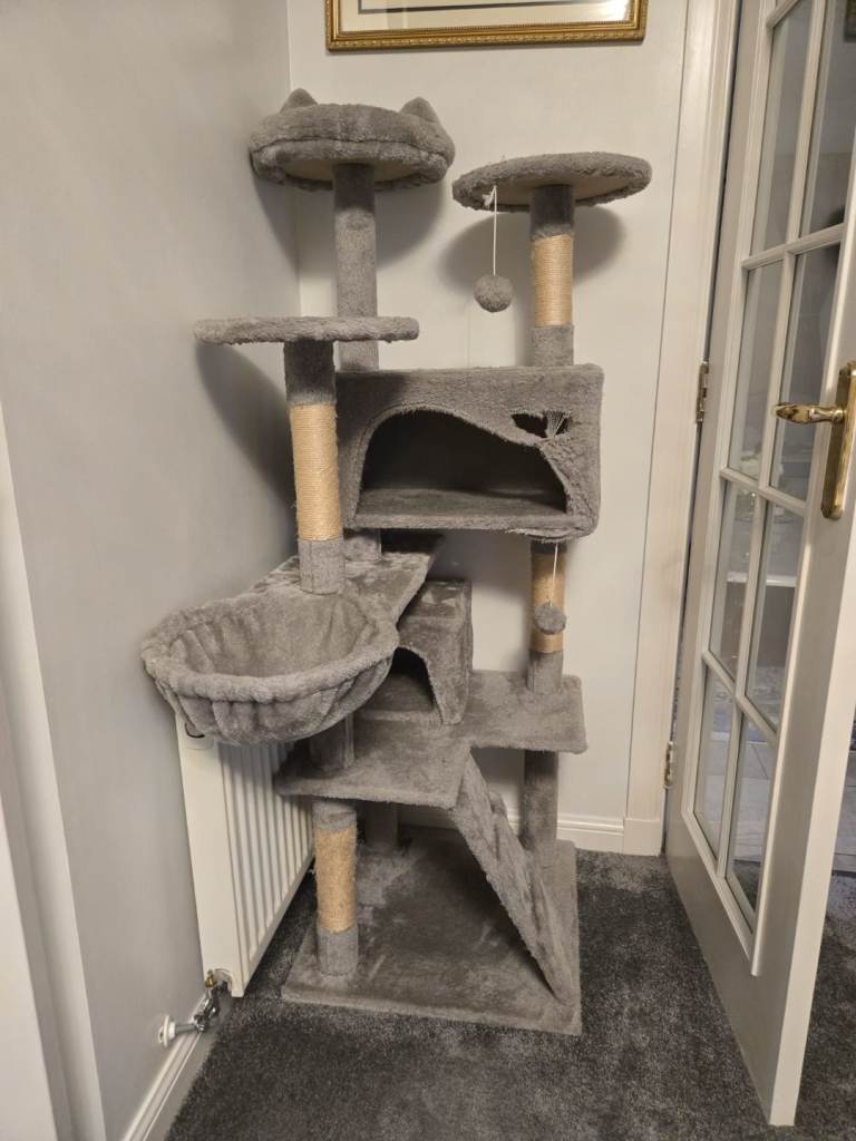 Grey Cat Tower 