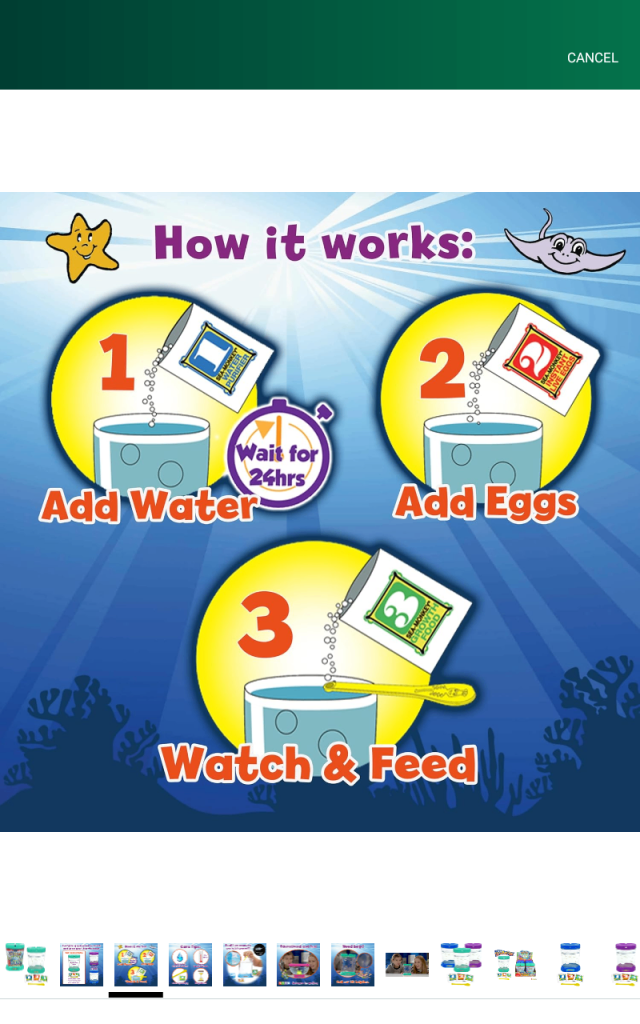 The Original Sea Monkeys