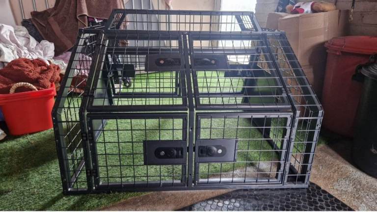 Double dog cage