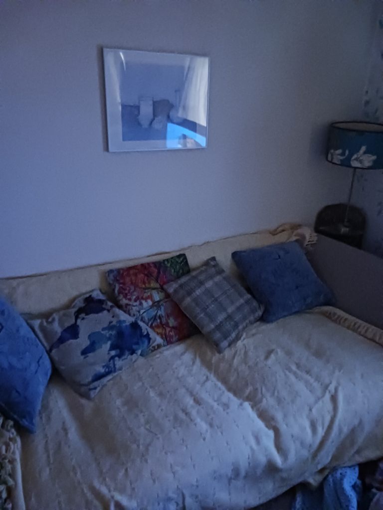 Double. Room. For. Rent. Paisley