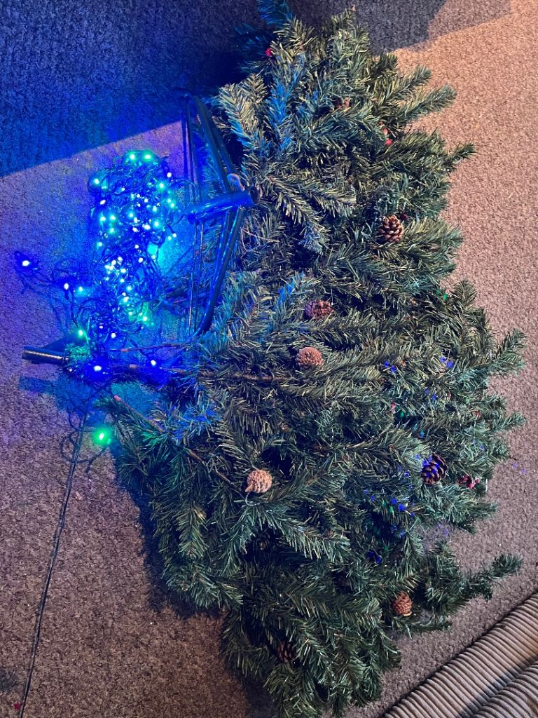 Cone and berry Xmas Christmas tree with free flashing led lights , based in hockering 