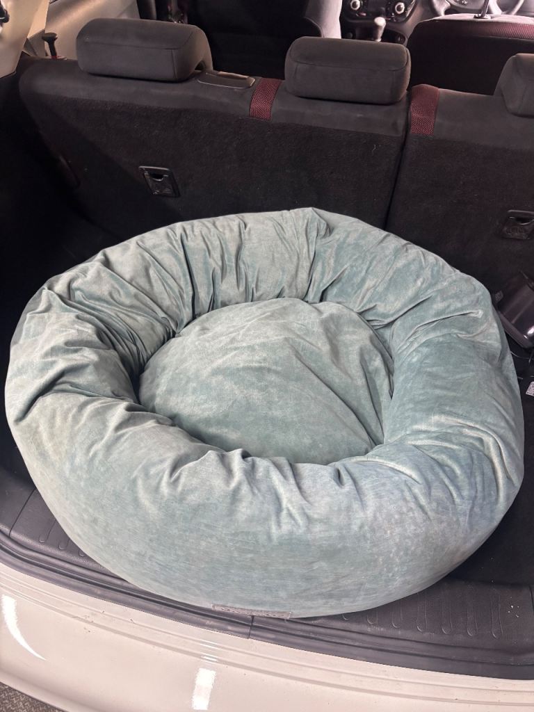 Scruffs dog bed xl 