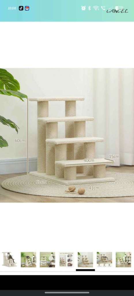 Cat steps 