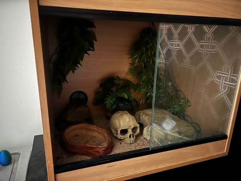 Full setup for a geko , snake or similar 