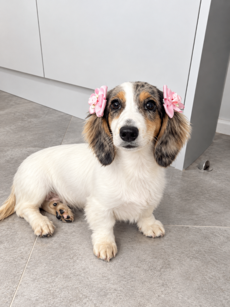  Beautiful rare girl