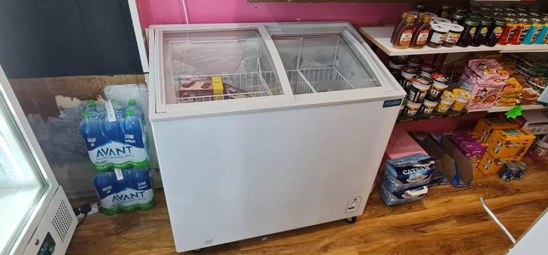Commercial freezer 