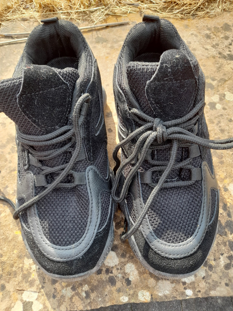 Size 3 Black Ladies Suede Trainers New