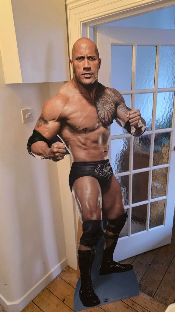 FULL SIZE THE ROCK – WILL NOT COOK FOR YOU BUT WILL JUDGE YOU
