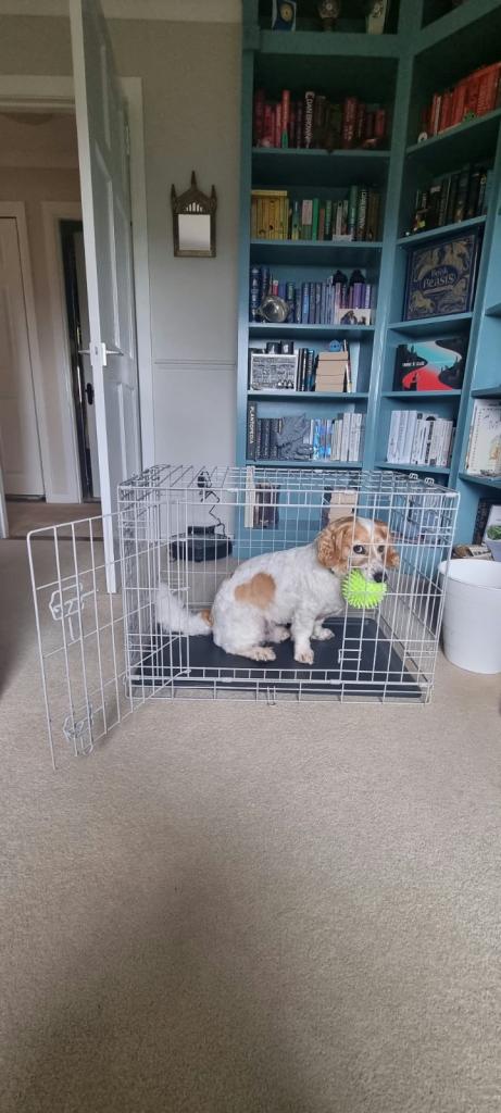 Medium pet crate - grey