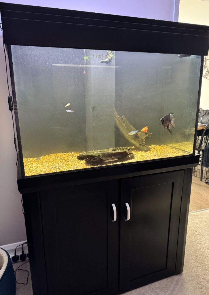 Fish tank 