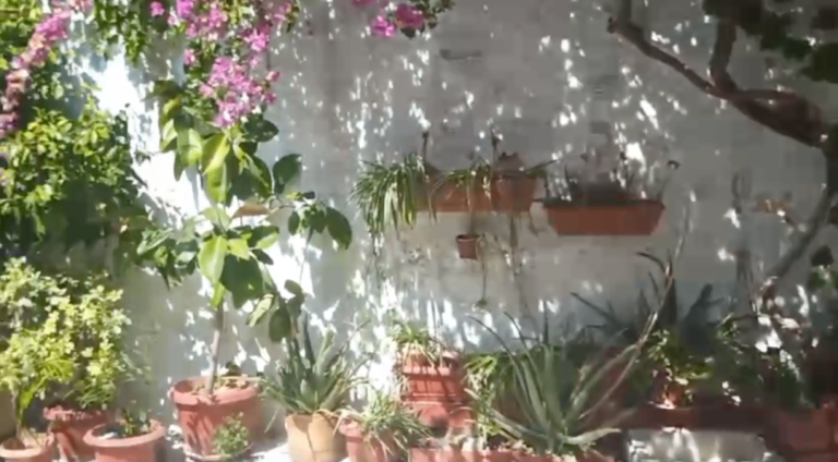 Spread the balance over 10 years - House and Development in Greece