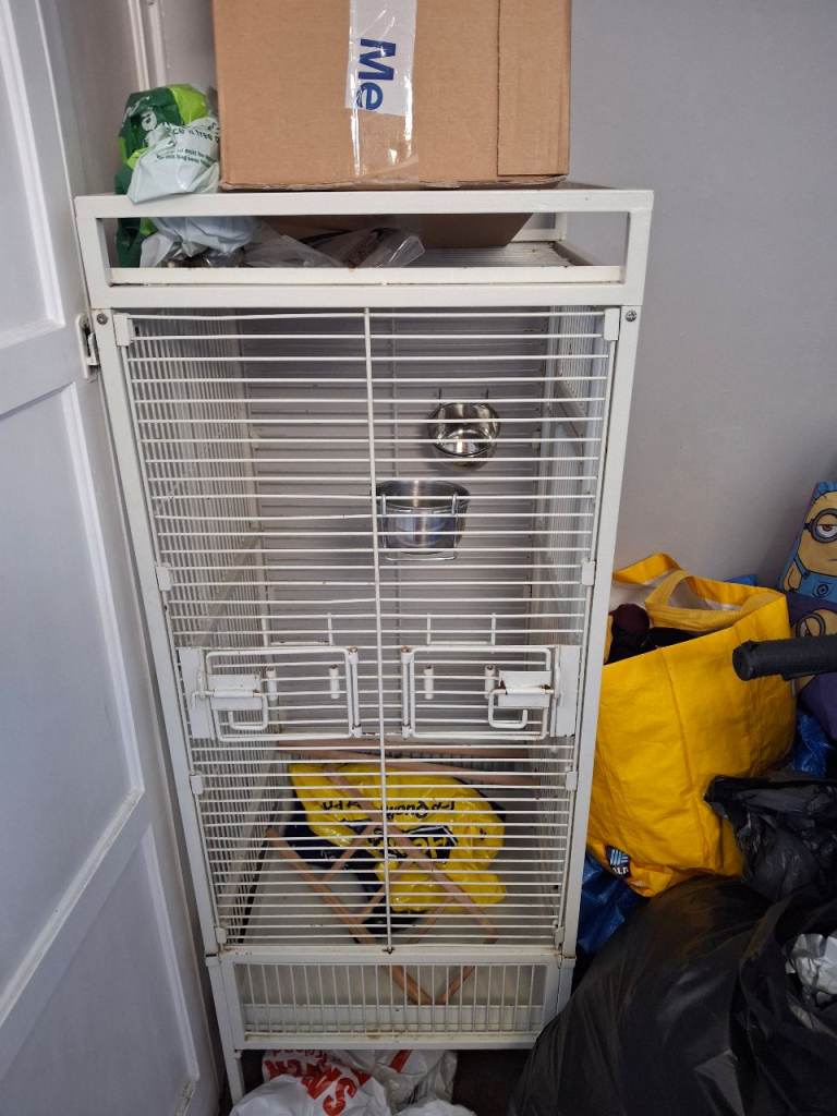 Birds Cage