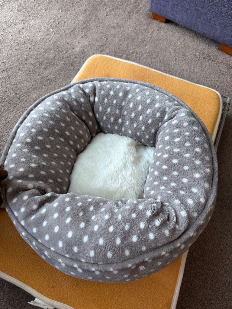 Pets at Home Cat Bed