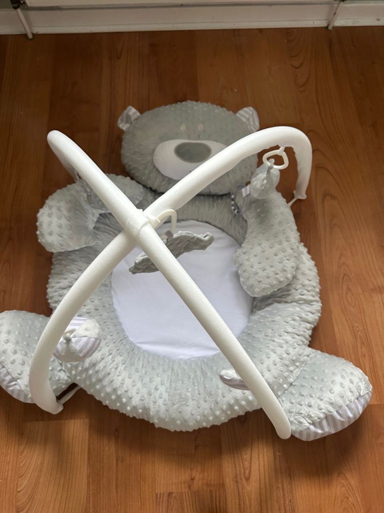 Plush Bear Baby Gym Grey