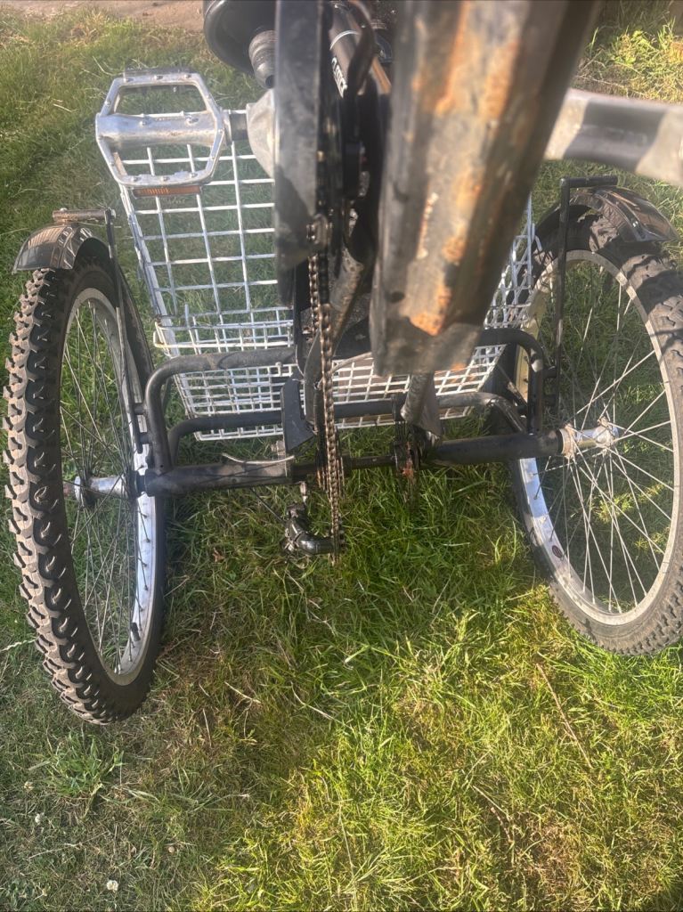 Black Adult Tricycle with Basket – Good Condition