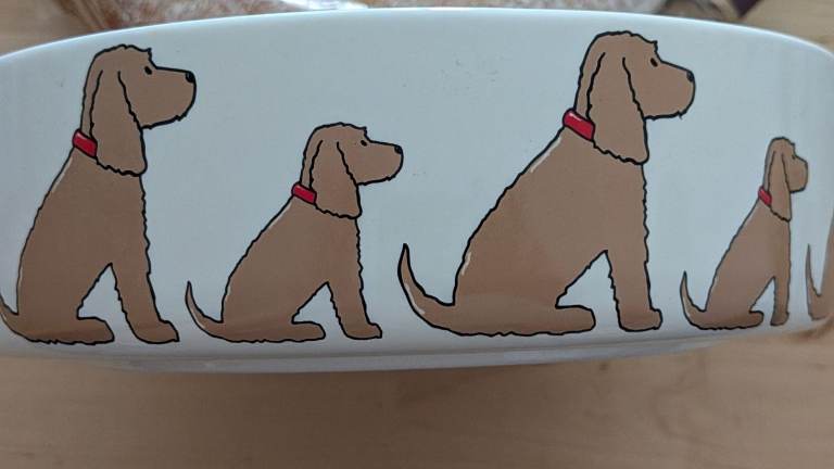 Sweet William London Dishwasher & Microwave Safe Dog Food Bowl