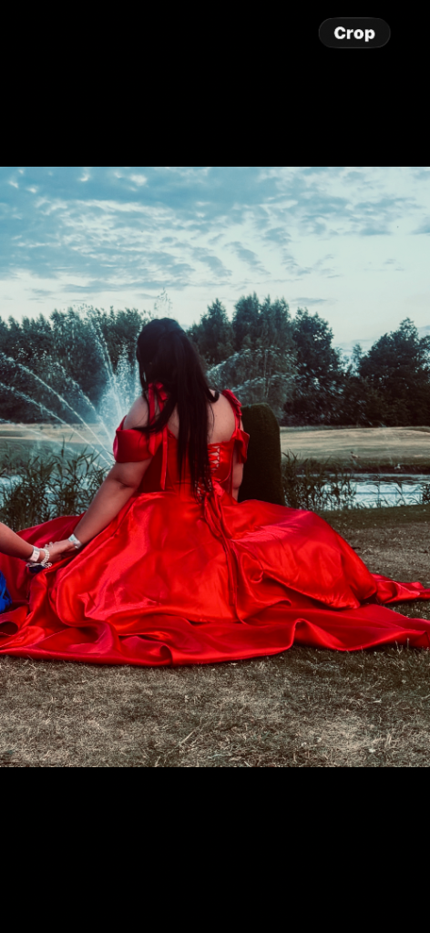 Princess worthy prom dress 