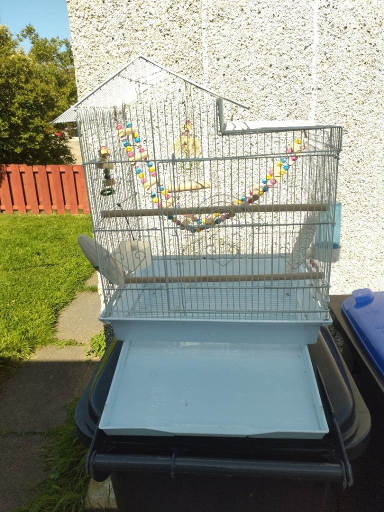 Bird cage 
