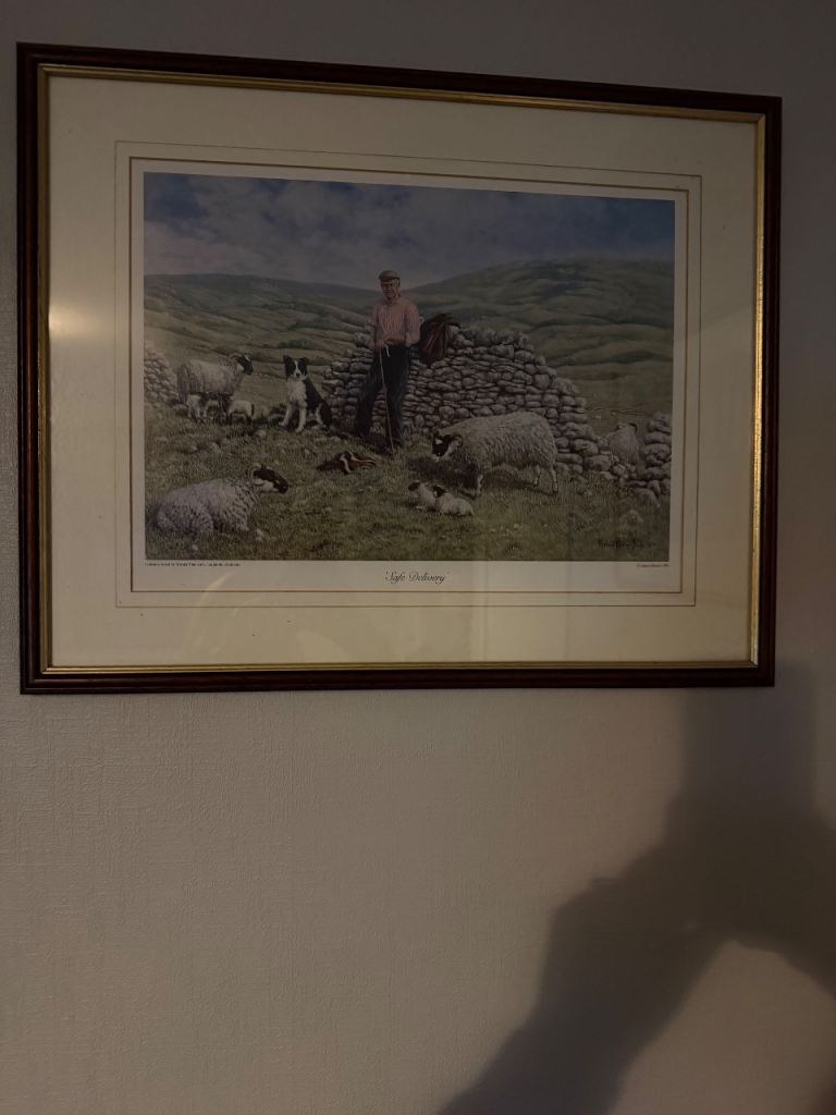 3 different pictures 