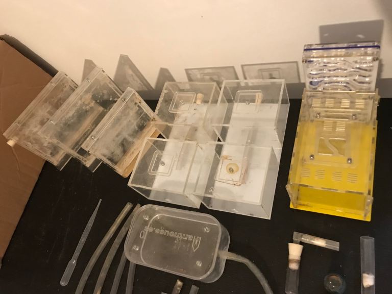 Pet Ant House Farm Formicarium nest professional full set up 