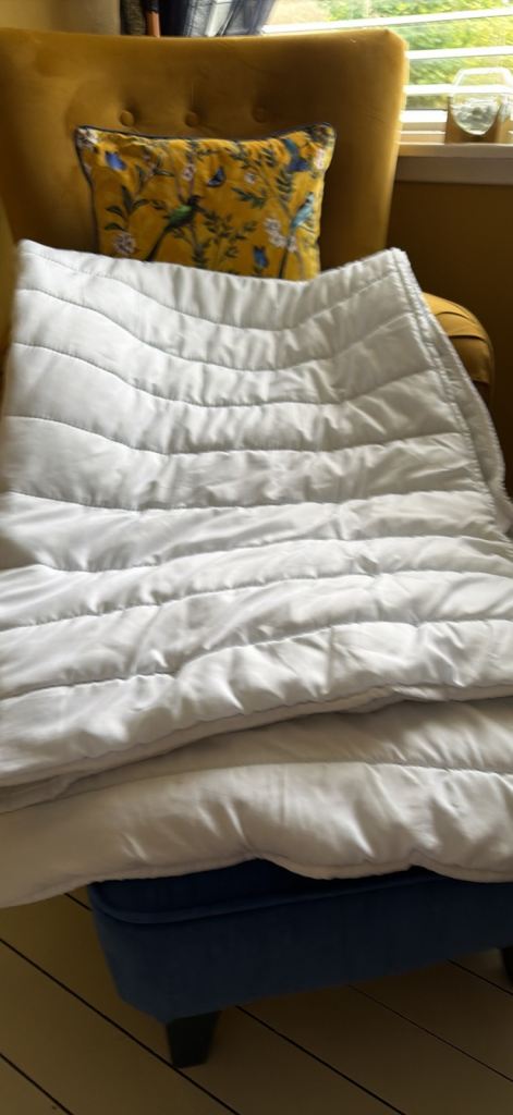 FREE White double mattress topper Good Condition