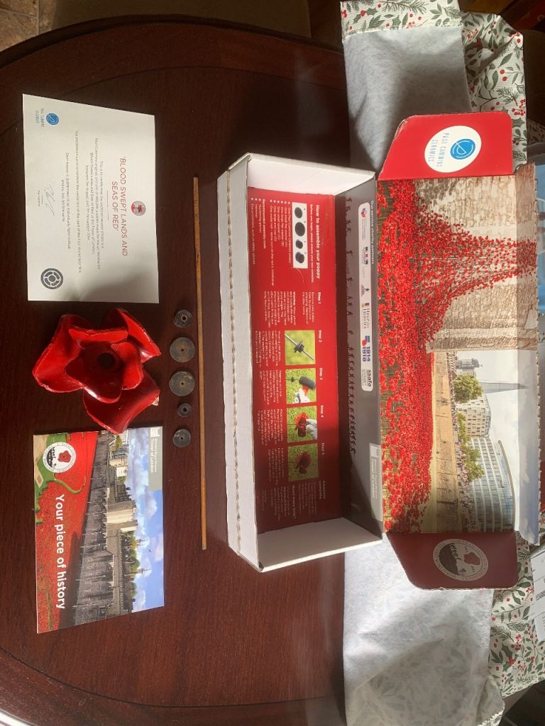 Paul Cummins - Tower of London Ceramic Rose