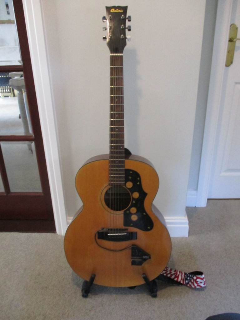 GUITAR/VOCALIST ENTERTAINER GEAR