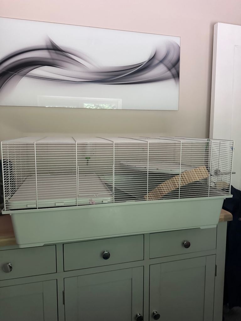 Big hamster cage 