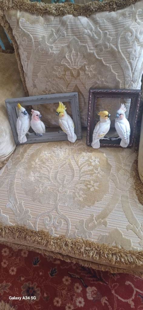 Decorative Ceramic Parrot Figurines in Frames – Good Condition