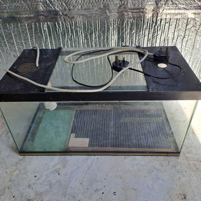 Glass tank, have been stored in shed so would need clean.
