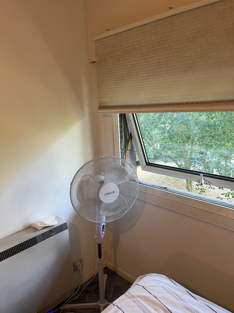 Rowenta Pedestal Fan - White, Good Condition