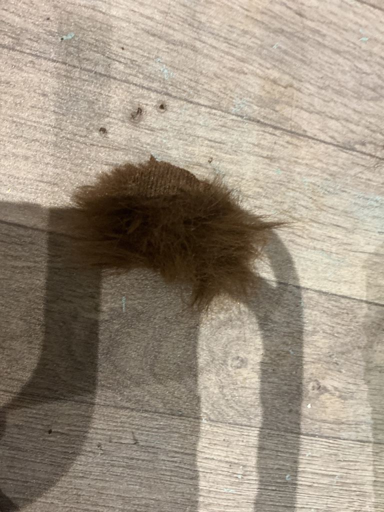 Hairy mouse dog toy