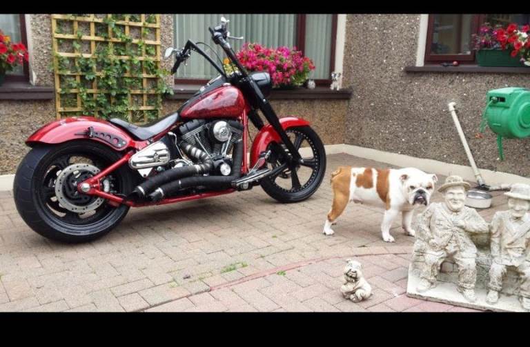 Harley-Davidson, SOFTAIL CLASSIC, 2005, 1449 (cc)
