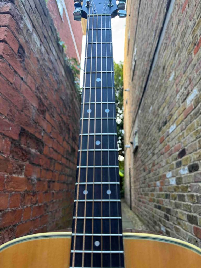 Ibanez V220 Vintage Series (Japan, 1980s) + Schatten HFN passive piezo pickup