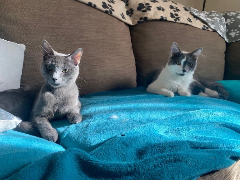 Ronnie and Reggie
