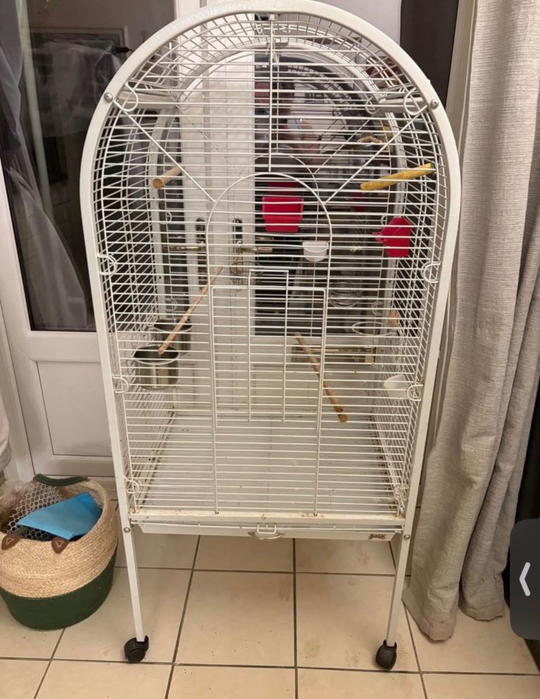 Bird cage and accessories 
