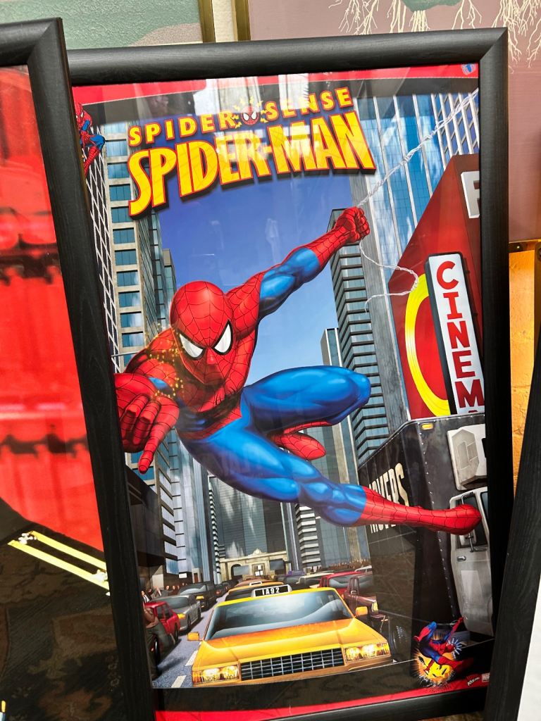 Large Framed Posters each £10