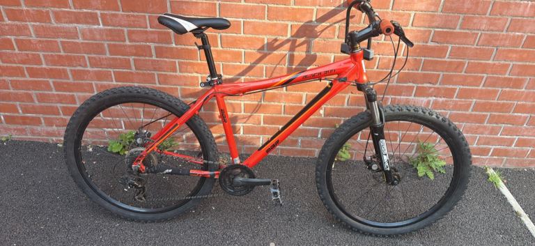 Adult bicycle free delivery locally