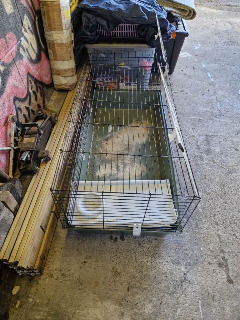 Guinea pig / rabbit indoor cage FREE