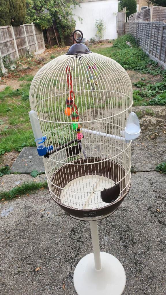 Bird cage 