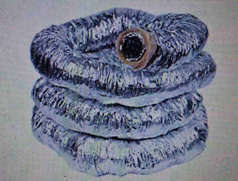 Manrose Aluminium Insulated Flexible Ducting Hose Silver 10m x 102mm (90765)