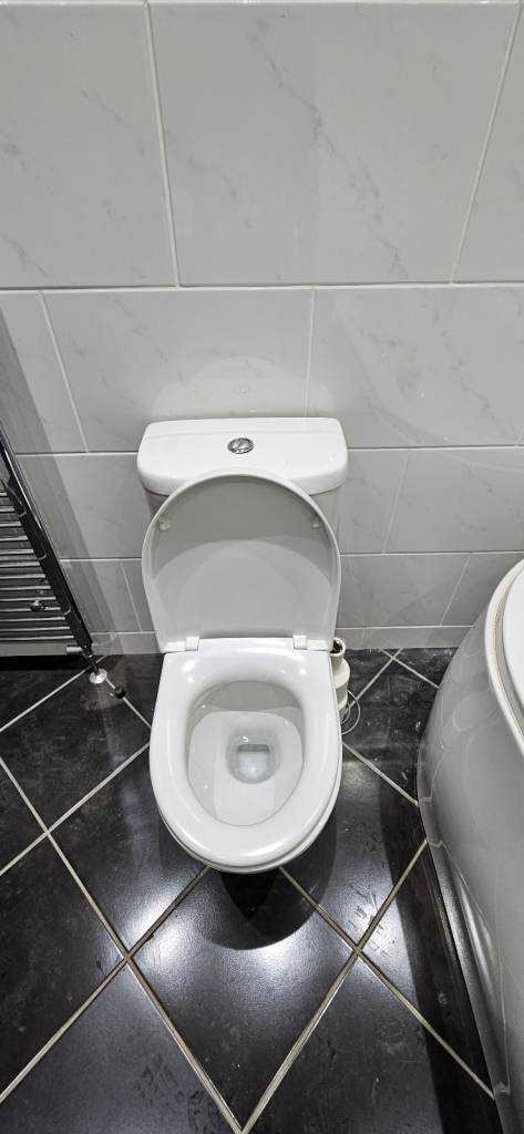 Free standing toilet