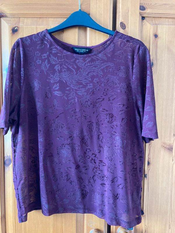 Short sleeved sheer top Dorothy Perkins Size 14