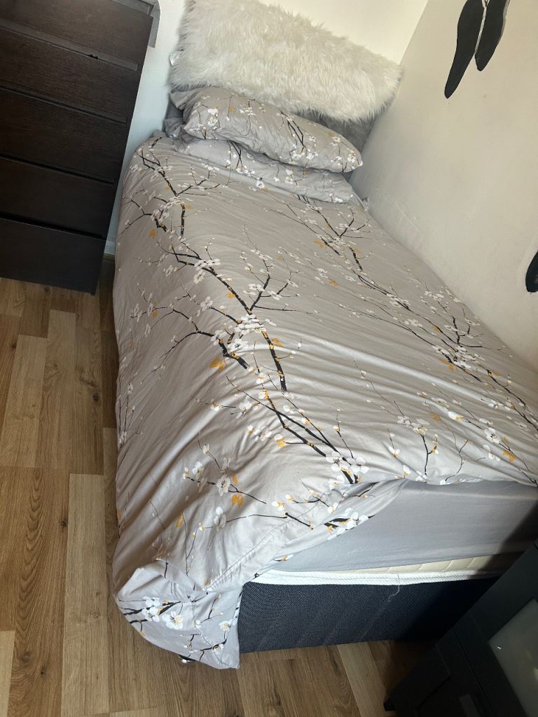 Single bed 