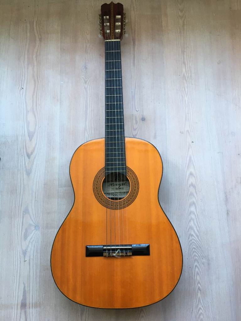 image for Horuguel acoustic guitar with case